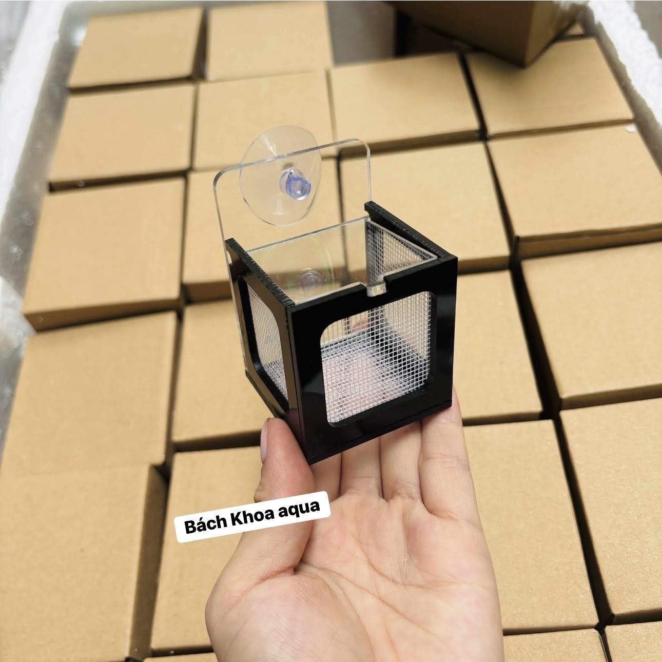 Box lưới - Mica đựng trùn chỉ trùng huyết cho cá cảnh